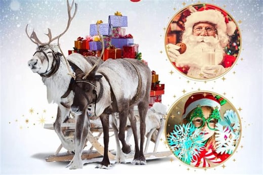 Christmas events at Peterborough Museum and Flag Fen - including meet the reindeer