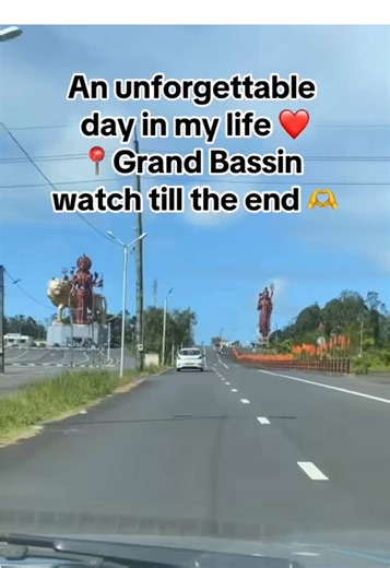 It’s heartbreaking that these ducks were removed from their natural habitat. There are far more urgent issues that need attention—such as the uncontrolled population of stray dogs—instead of targeting these innocent animals. Every creature deserves respect and protection, and we should be striving to coexist with all animals, not harm them. #fyp #spreadawareness #ducks #grandbassin #mauritius🇲🇺