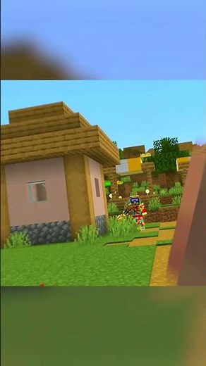 NEVER MESS WITH MY VILLAGERS