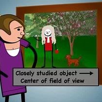 Video: Investigating Crowding in Peripheral Vision