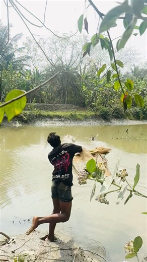 Dark fishing cast net in the sundarbons river #amazing #fishing #village life#viral #fish age