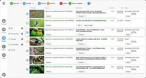 Free instals Any Video Downloader Pro 8.7.8