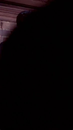 32K views · 582 reactions | Getting a head start. Filmed in 2019. On...