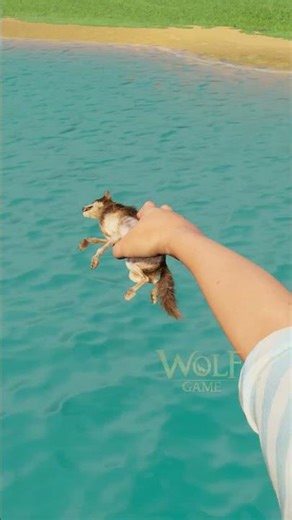 Jerry Got Humiliated… and Came Back Stronger.💪 #wolfgame #wolf #animalshorts #wolfstory