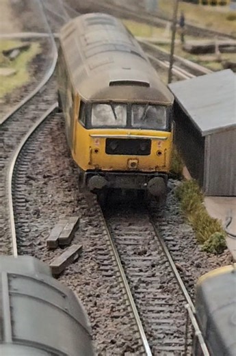 11K views · 224 reactions | A large logo class 47 arrives on Daisy Lane TMD stabling point during the weekend at the Great British Model Railway Show. #modelrailway #modelrailwaysuk #modelrail #modeltrains #modelrailways #scalemodel #scalemodelling #railwaymodelling #modelrailwayscene #modernimage #railway #daisylanetmd | Daisy Lane TMD | Facebook