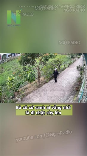 Cụ già cứ canh ai vắng nhà là đi chặt cây lén#viraltiktok #tintuc #ngoradio #cuocsong