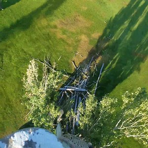 Clean up some trees up at the golf course . | The Tree Service llc.