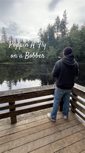 Fly and a Bobber Technique-4lb Trout 🎣 #fishing #shorts #fishinglife #troutfishing