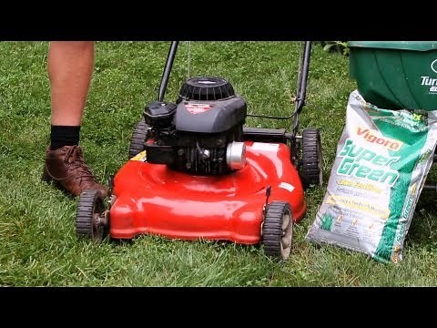 4 Lawn Mulching Tips | Lawn & Garden Care