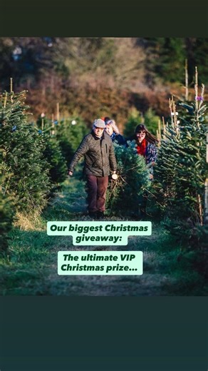 The ULTIMATE Christmas VIP giveaway… 🎄🦌🫶🏼🎁 This is the last giveaway of the year, so we thought we’d make it a good one! WIN: 🎅A family grotto experience (date subject to avail) 🎄Your PERFECT Christmas tree ✨A beautiful Wreath 🎁A gift of your choice from the gift shop (subject to avail) 🦌Meet & feed the reindeer session 🍰🧁 A tasty snack for up to four people from the on-site cafe! To win, 🤳Make sure you’re following us 💁🏻‍♀️Tag up to four people separately in the comments section �