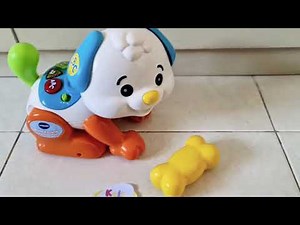 Vtech Shake and Sounds Learning Pup