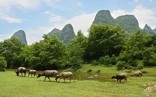 China Highlights - Since 1998!