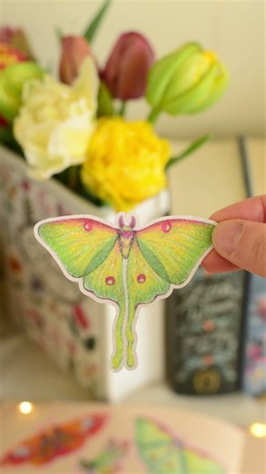 One sketch, turned into many cute things! #art #moth #cuteart #illustration #stationery #creative