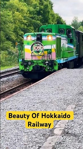 Beauty of Hokkaido Railway 🚃 | Japan’s Most Scenic Countryside Train 🇯🇵✨#shorts #shortvideo