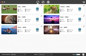 Webm video format converter