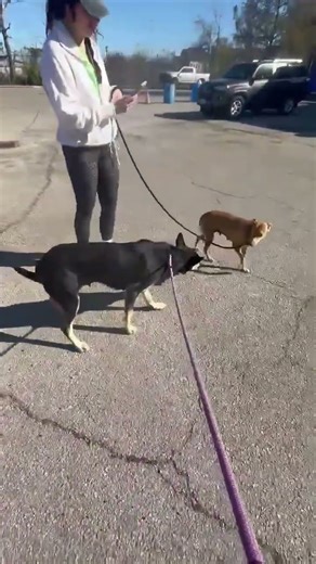 A2050128 Marinara Temp Test 3