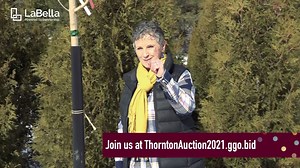 15 reactions · 4 comments | Happy Hug A Tree Day! Kathleen Boutet...