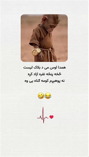 #foryoupage #fypシ #viral #fyp #کندهاری_شــهزادګی🥀