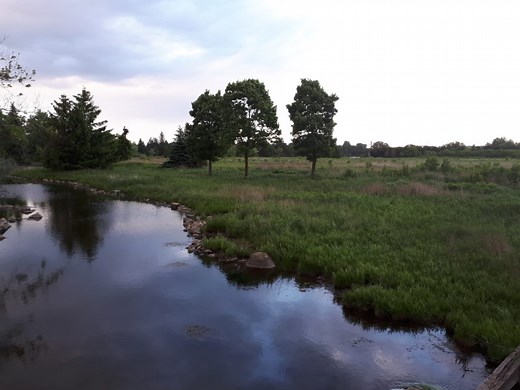 Guelph Innovation District Secondary Plan