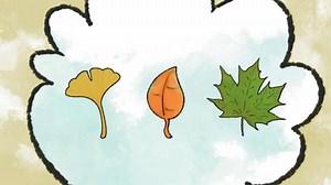 Elinor Wonders Why - That's So Interesting!: Why Do Leaves Change Colors? Video | PBS KIDS