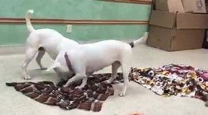 158 reactions · 63 shares | Peter Pan and Tinkerbell are an...