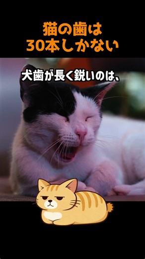5 Shocking Facts About Cat Teeth: The Real Reason They Only Have 30