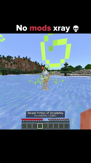 Minecraft no mods xray