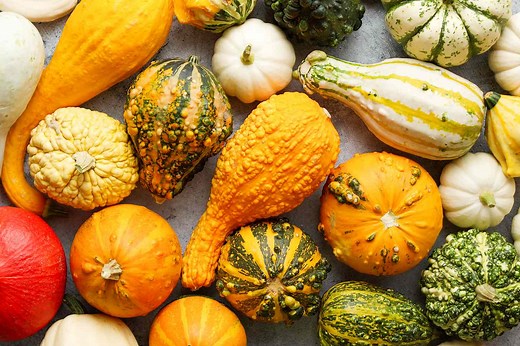 What Is a Gourd—and Can You Eat Them?