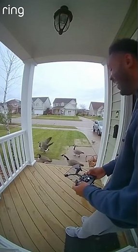 Man Uses Drone to Chase Off Geese