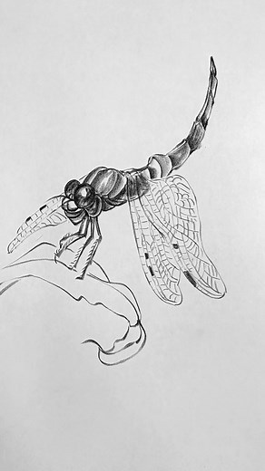 Master the Art of Drawing with These Step-by-Step Techniques