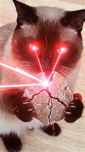 23 марта 2026 г.