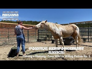 Positive Reinforcement Basics: Training a Mustang - From Wild to Willing Partner Ep. 3