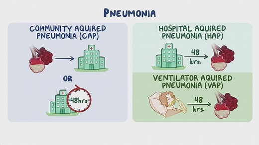 Video: Hospital-acquired and ventilator-associated pneumonia: Clinical sciences - Video Explanation! | Osmosis | Osmosis