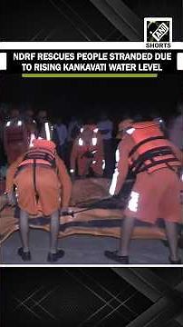 NDRF rescues 5 people stranded due to rising level of water in Kankavati river in Gujarat
