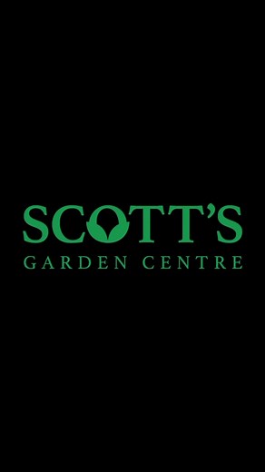 First day of spring! We’re looking forward to seeing you all this spring! Thanks @brooketylermedia for coming through with this one. | Scott's Garden Centre