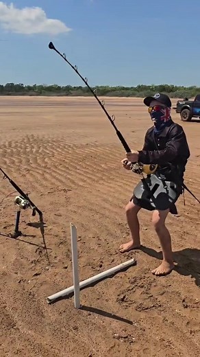part 1 of a solid session on the beach managed to get this little 6ft tiger that had he's dorsal fin cut clean off his back it was an absolute shame to see this but a quick dehook and off he went 🤘🏻 #ntsharkking #darwin #nt #nothernterritory #landbasedsharkfishing #sharkfishing #tigershark #beach #swellpro #fyp @Swellpro
