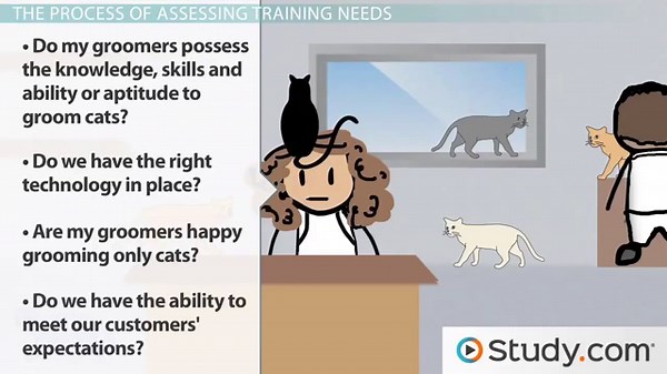 Assessing Training Needs of an Organization