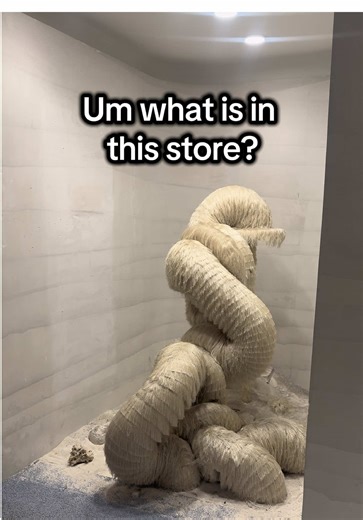 Went in to buy sunglasses and saw this? #whatisthis #alien #shopping #abstractart #scared