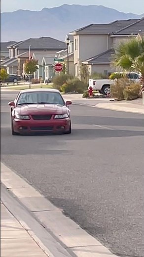 Terminator cobra SVT mustang