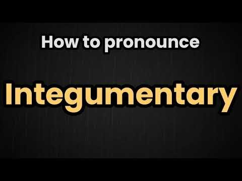 Integumentary Pronunciation | How To Say Integumentary
