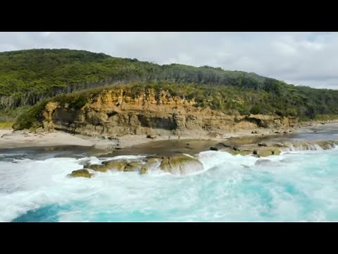 Murramarang South Coast Walk | Murramarang National Park | NSW National Parks