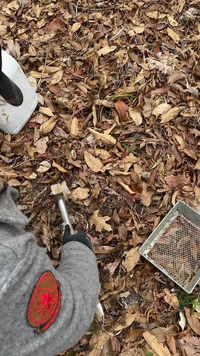 Dirt hole set 101 #trapping #trapper #trapline #woodsman #edutok #fyp #foryoupage #thegreatoutdoors #trapseason #survivalskills #survivalskills #wildernessskills #instructor #bushcraft