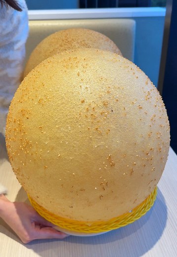日本一巨大なごま団子 | 麻辣大学