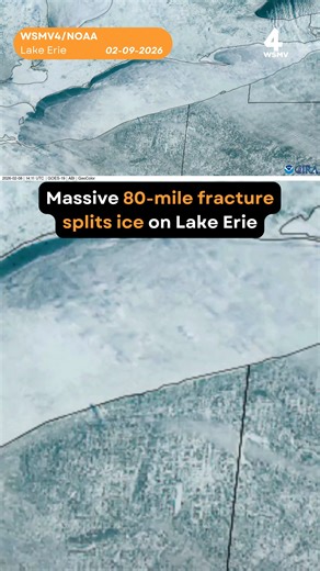 66K views · 120 reactions | Satellite imagery captured a massive fracture splitting the ice on Lake Erie on Sunday. NOAA said the crack spans roughly 80 miles, stretching from Port Burwell, Canada, to near Cleveland, Ohio. https://tinyl.co/4JSN | WSMV 4, Nashville | Facebook