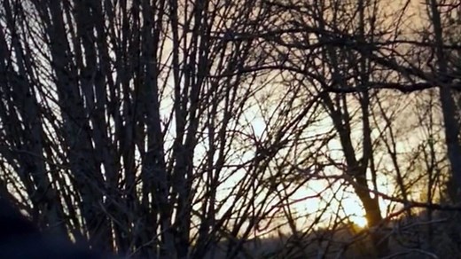 The Vampire Diaries Season 1 Full Episodes by PipertheWitch1 - Dailymotion