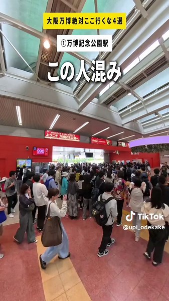 大阪万博記念公園でのピクニックスポット