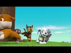 Paw Patrol // Ryder's Surprise // Pups Save Ryder's Surprise (part 4)