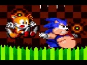 Sonic 2 XL (Sonic Hack)