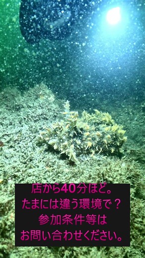 浜名湖のダイビングを準備中です #scubadiving #ダイビングショップ #diving