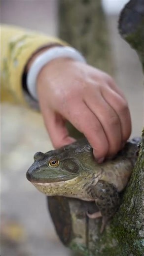 Survival Skills: SIMPLE andUSEFUL#bushcraft #camping#outdoors